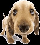 upload_2019-12-8_11-30-54.jpg