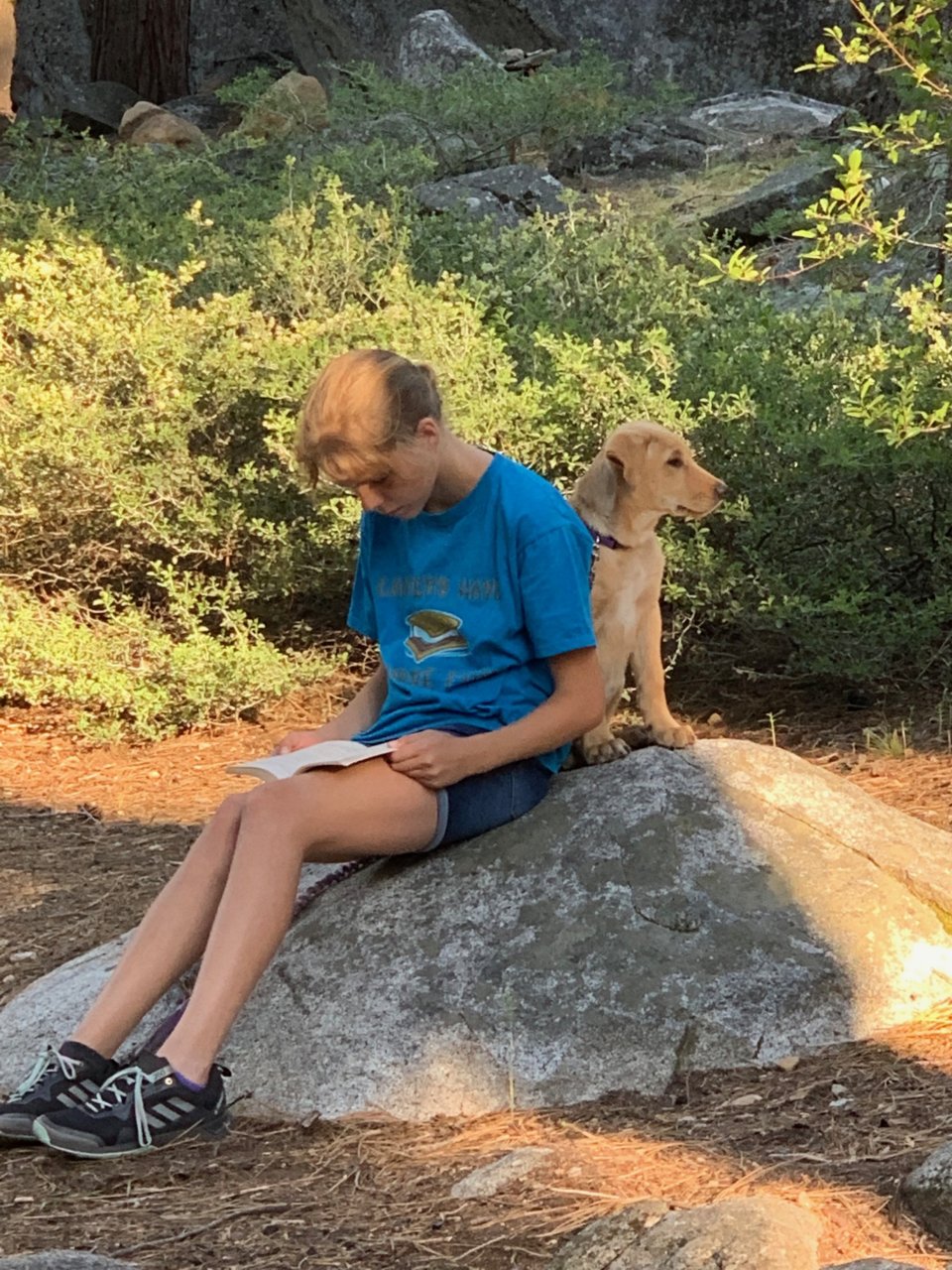 upload_2019-6-20_16-6-55.jpg
