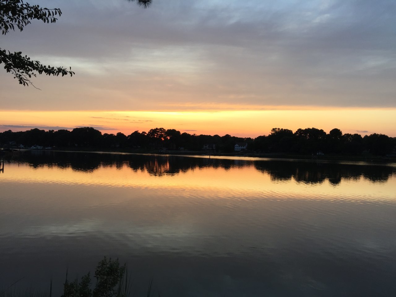 upload_2019-7-26_20-41-7.jpg