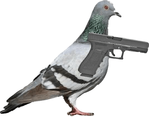 upload_2022-2-16_18-50-51.png