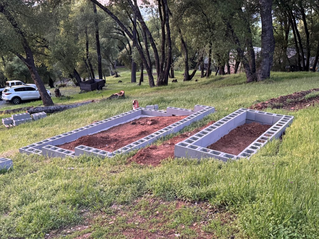 veg garden.jpg