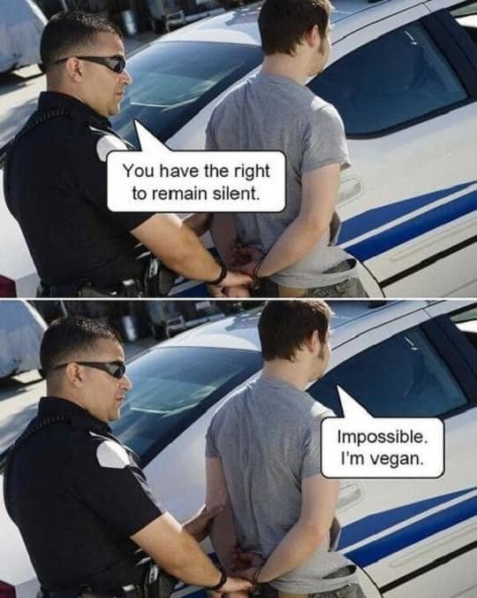 vegan.jpg
