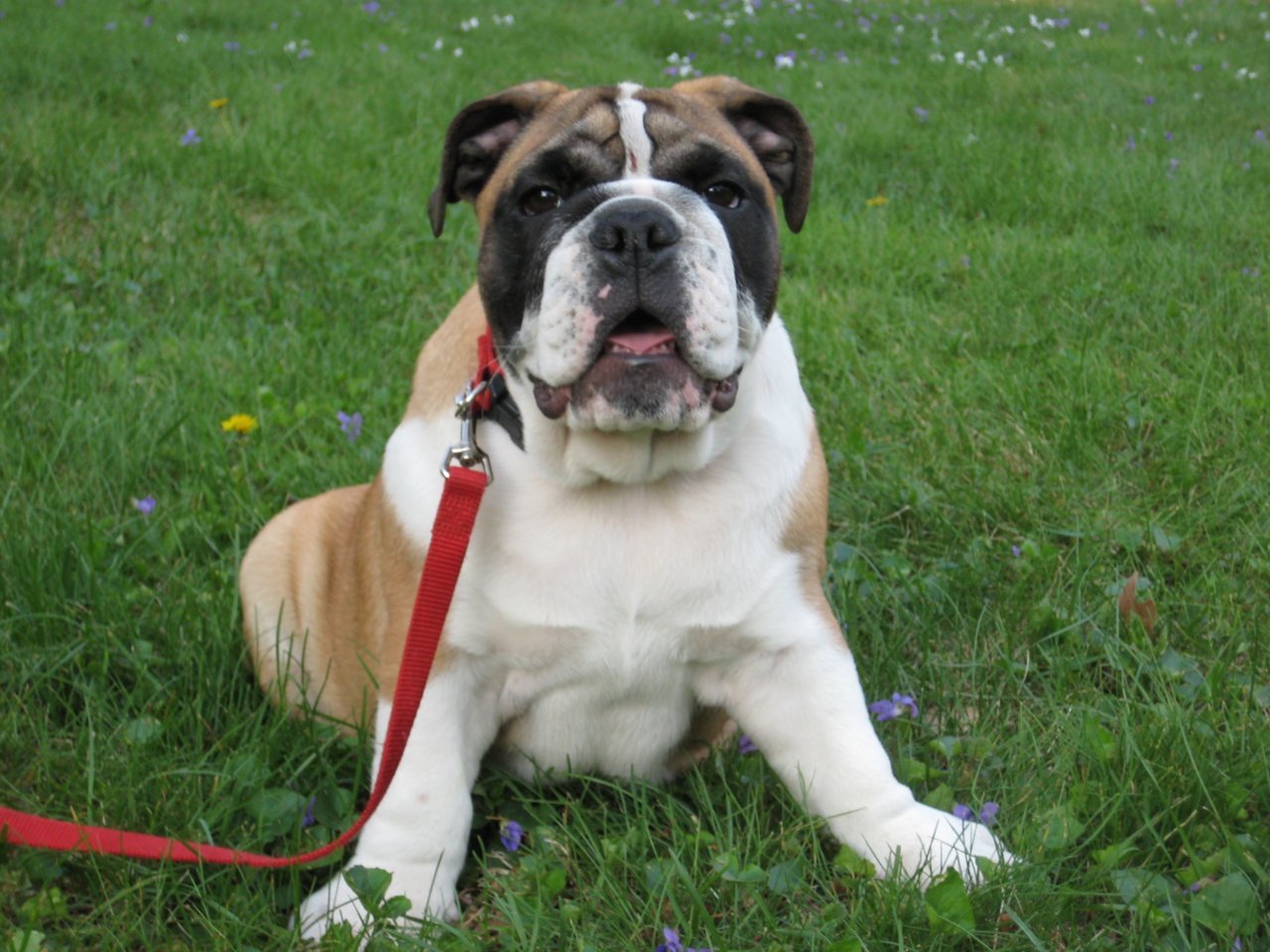 wally509 001.jpg