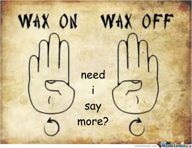wax-on-wax-off_o_2236235.jpg