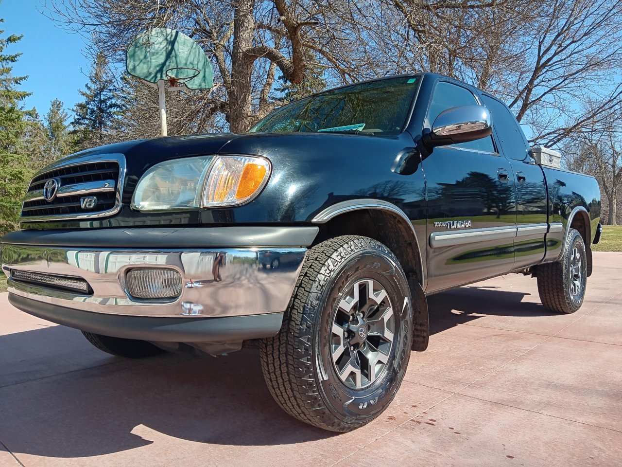 waxed front.jpg