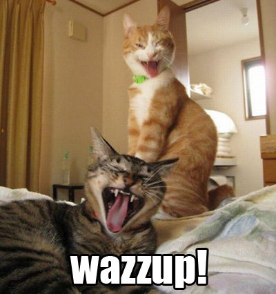Wazzup-Wazzup-Meme.jpg