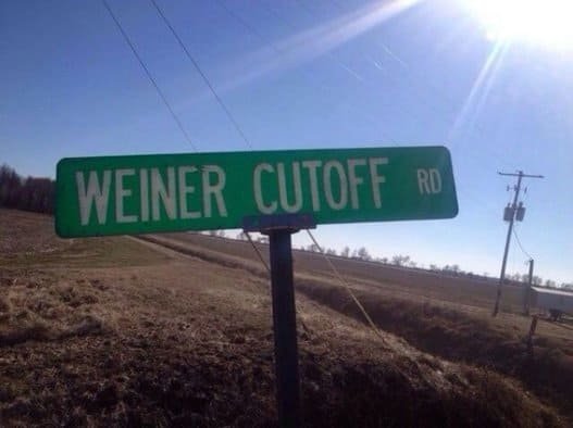 Weiner cutoff.jpg