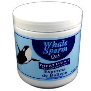 whalespermm.jpg