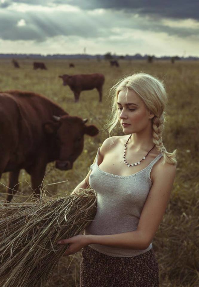 WhatCows.jpg