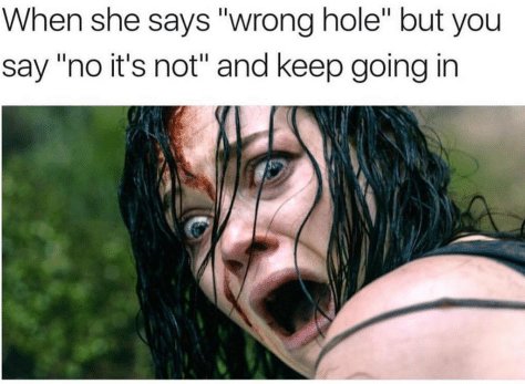 when-she-says-wrong-hole-but-you-say-no-its-42127139~2.jpg
