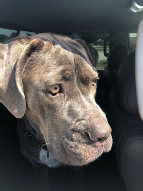 Winston 2.jpg