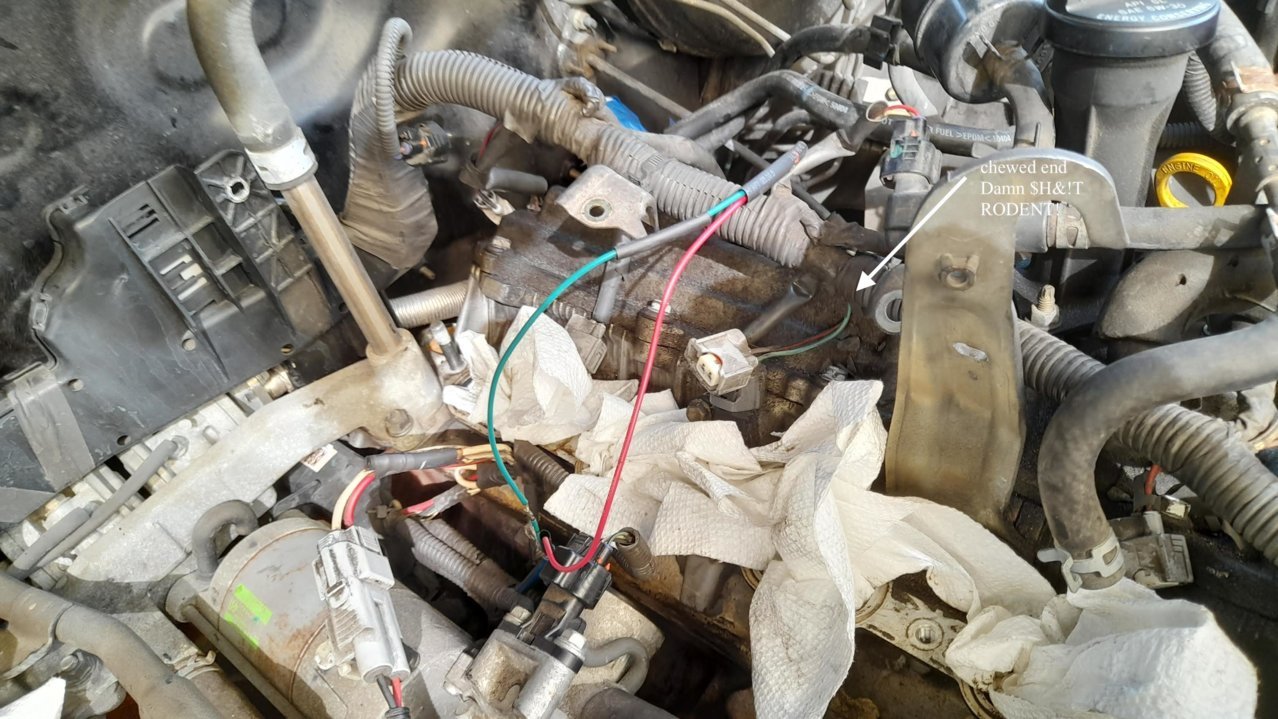 wire harn.jpg