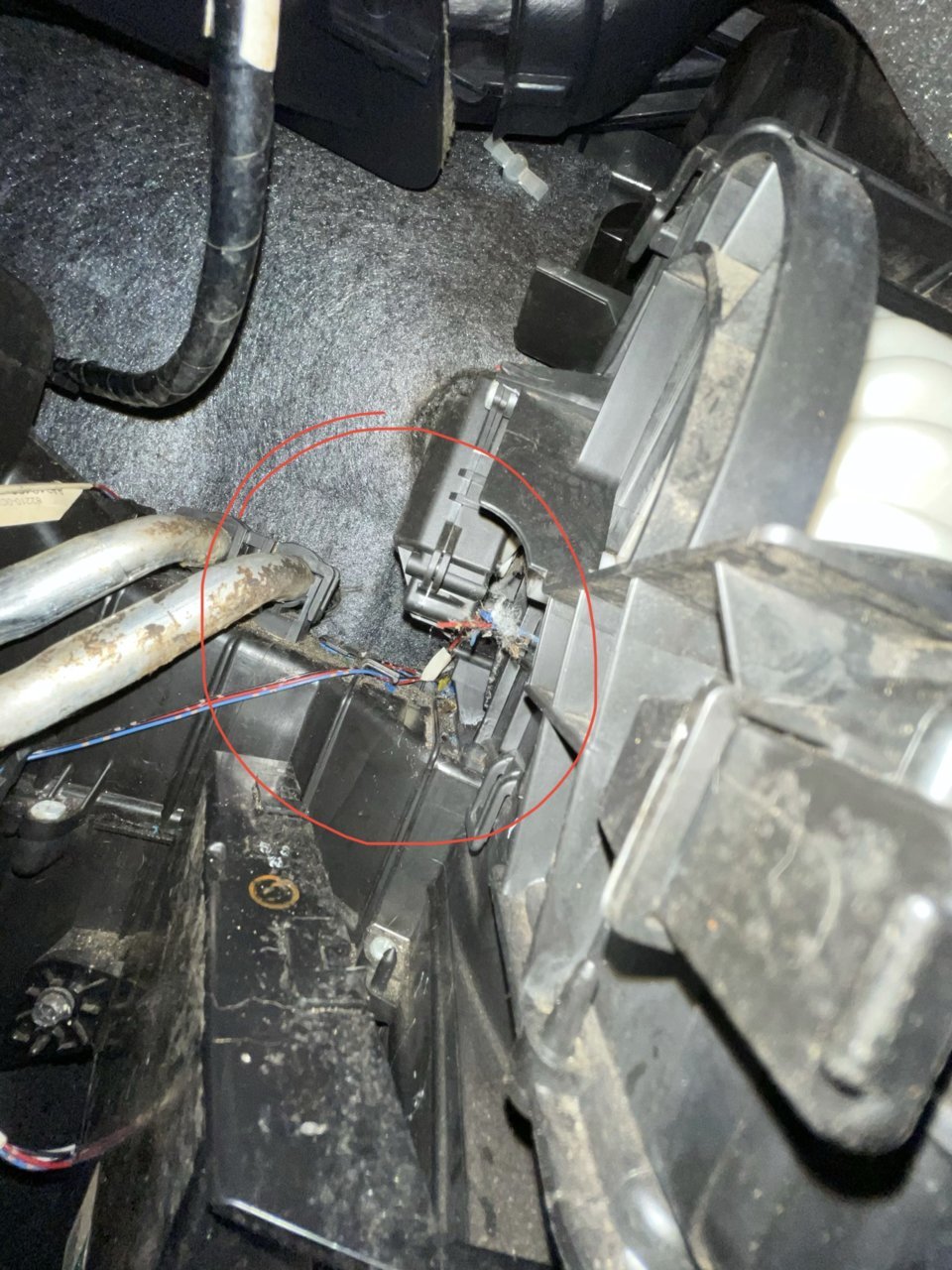 Wires .jpg