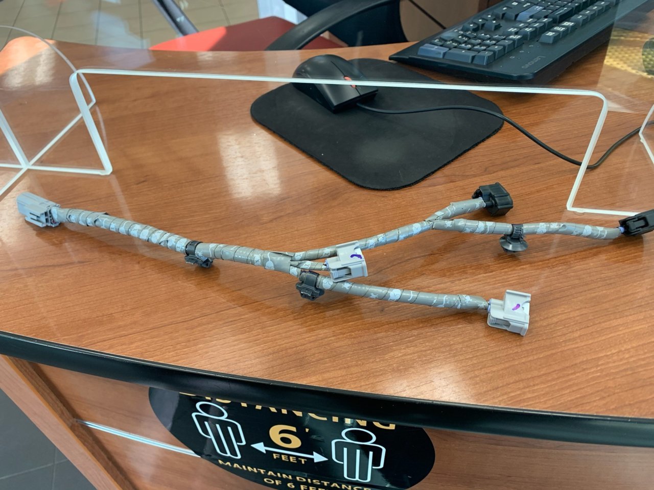 wrapped-harness.jpg