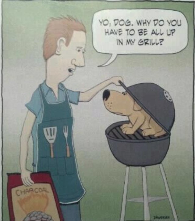 Yo Dog.jpg