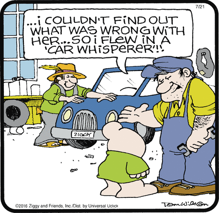 Ziggy Car.gif