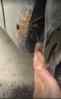 upload_2024-8-30_22-8-34.png