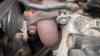 PXL_20250517_141527440.RAW-01.COVER.jpg