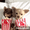 e7ff572e1d8939a642d28b5b7e34e6caa91a3694.gif