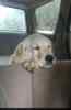 Screenshot_20250604_105422_Facebook.jpg