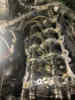IMG_8201.HEIC.jpg