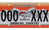 Bronco.jpg