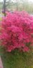20190517_073149.jpg