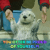 image.gif