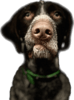 upload_2023-1-20_13-39-27.png