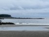 IMG_4536.jpg