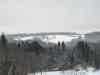 20240108_080344.jpg