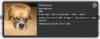 upload_2024-2-15_11-41-3.png