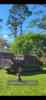 Screenshot_20240306_170034_Gallery.jpg