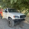 Damian_yota