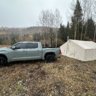 mtnelk