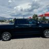 nmtundrafly