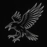 Blackbird9424