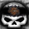 Skullrydr