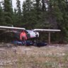 mainerinak
