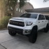 WhitePhxTundra
