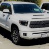 NEWCREWTUNDRA