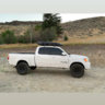 2020quicksand