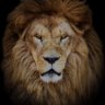 whitelion83