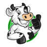1PissedCow