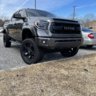 Tundra_dad81