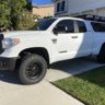 SnowBeast2017
