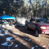 marks tundra