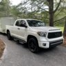 Tundrabandit