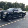 Tundraarnie