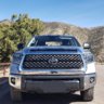 TUNDRAZONA